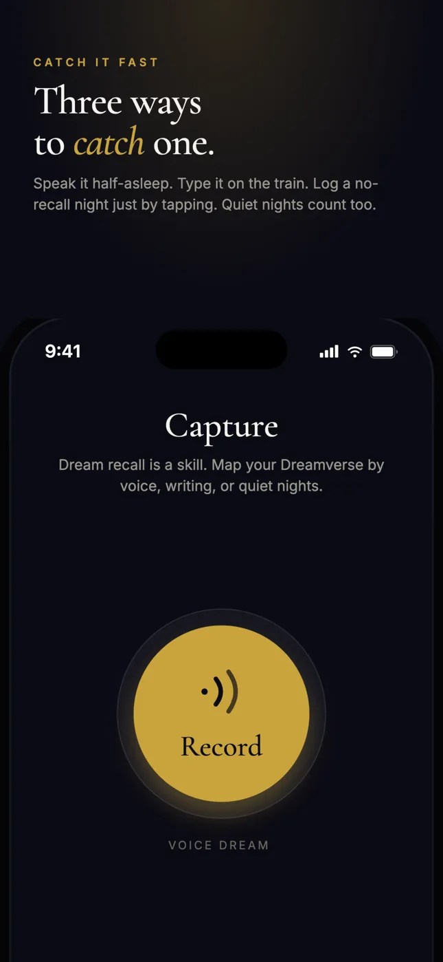 DreamCatcher capture screen with a record button